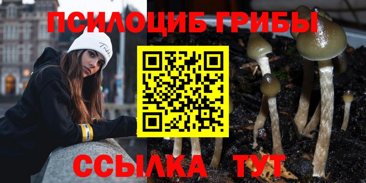 Сердобск  Галлюциногенные грибы мицелий  Вход с VPN 